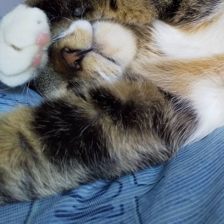 Dee280a1 127d 48d0 bbda 706dffa5cde8 1650773321667