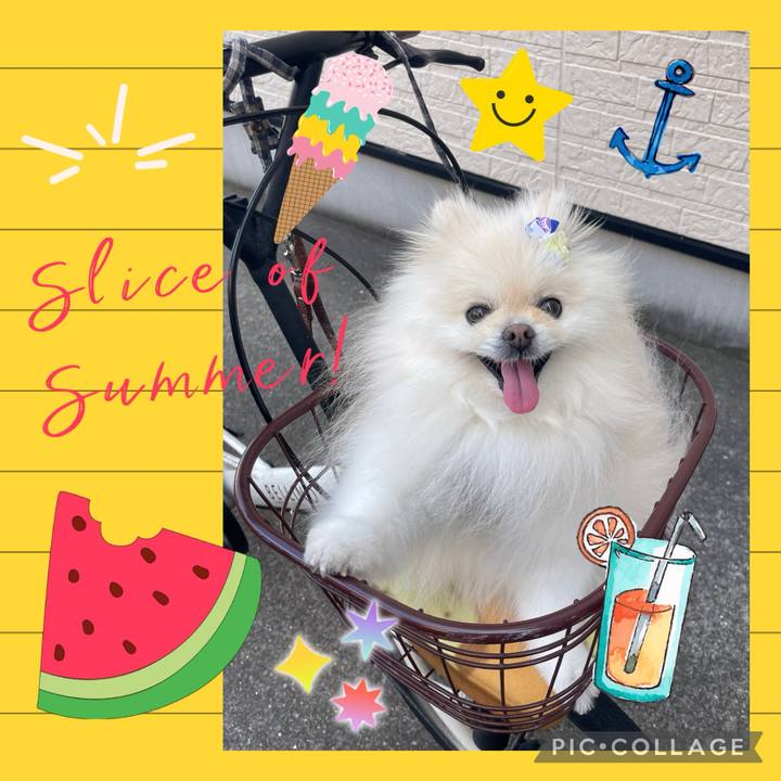 Dee29794 6a86 4255 9b2b f9e455ad6bc1 1721734168395