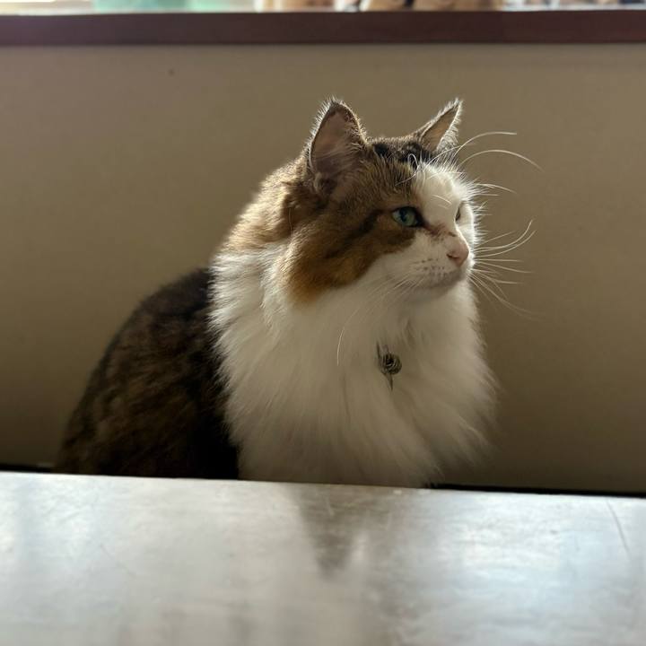 Dee2d5dc 250e 44da ac78 bb2548cd3315 1756975958793