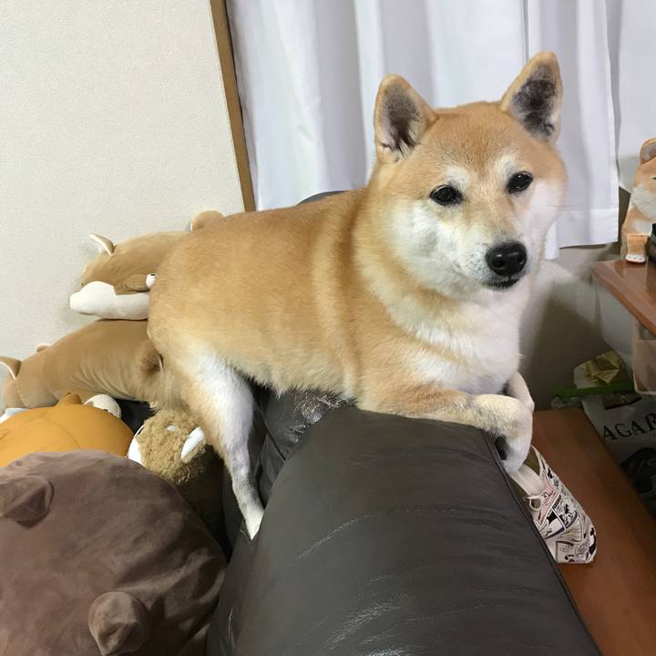 Dee2dc14 8d33 4d05 94dd 0785d19d93ef 1511241708482