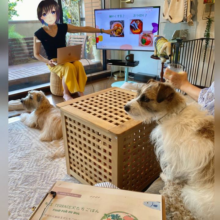 Dee2f285 0d77 49fb 8175 973e6433fc8c 1721817096346