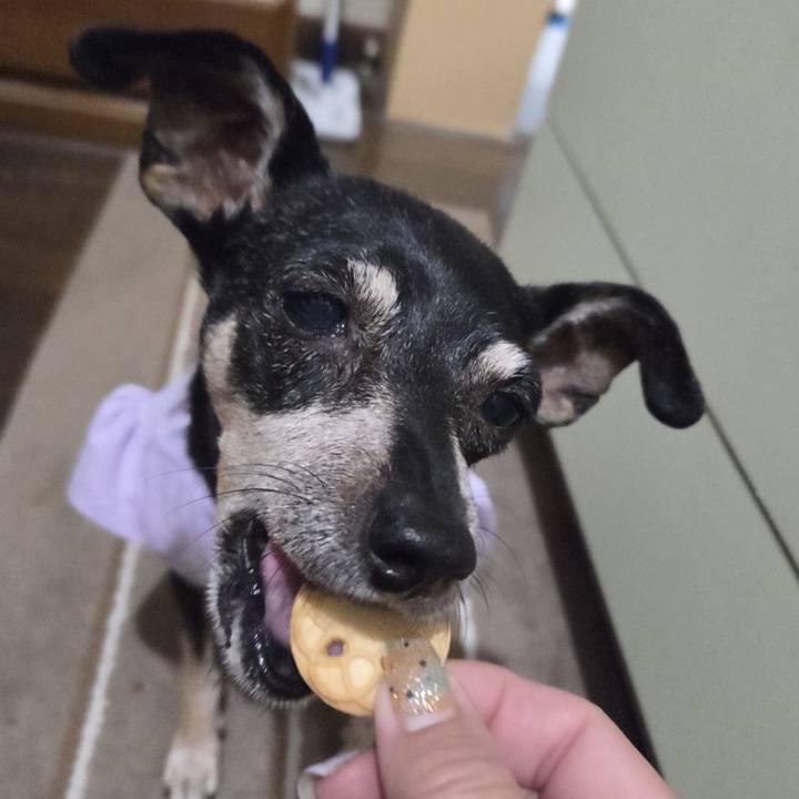 Dee301a9 936a 4a72 943d 87501595f1f9 1759433907495