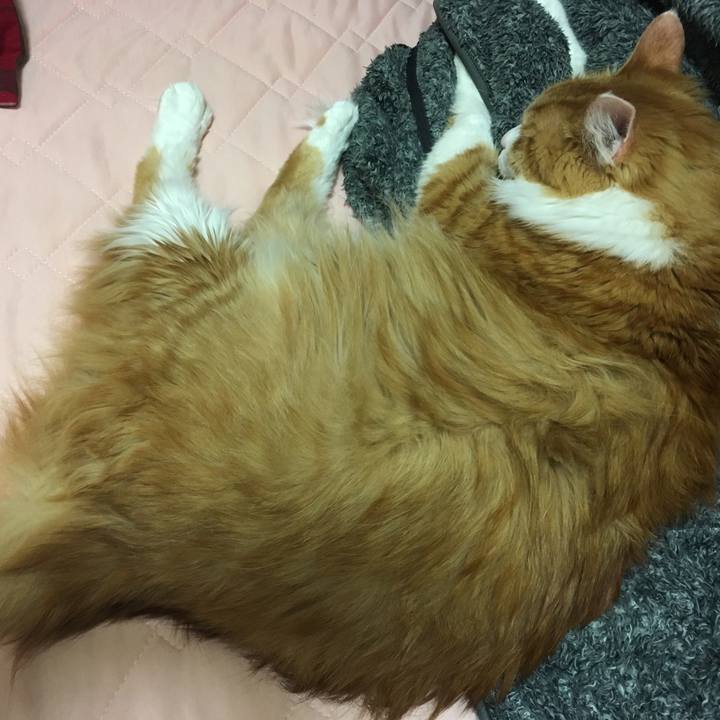 Dee39bb6 7b31 420e a73c 7f2f331807dd 1557060212321