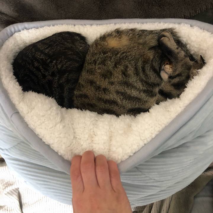 Dee3b2f0 4fda 4faf b739 af913b6869d7 1581678594934