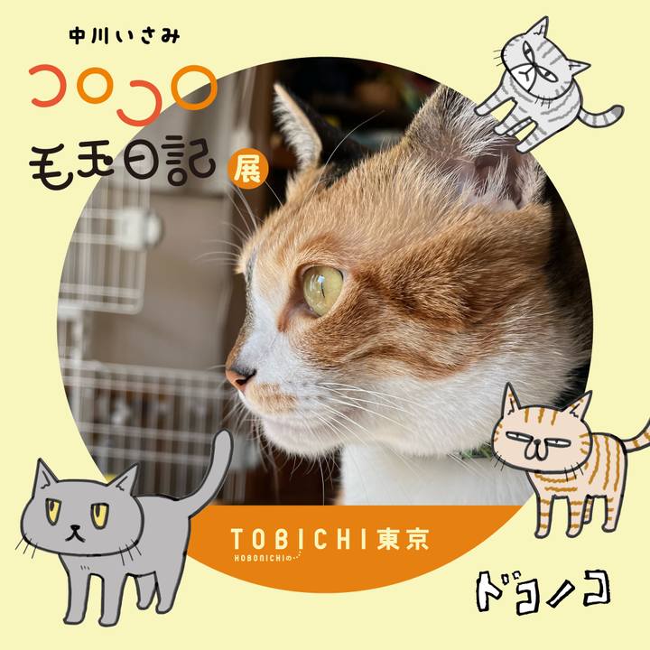 Dee3c229 4335 4a13 953d d5e363bbfaf8 1740184208546