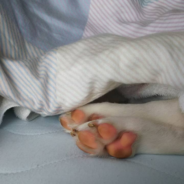 Dee3e545 e491 461c b57c 86c1b70fbabf 1602293289996