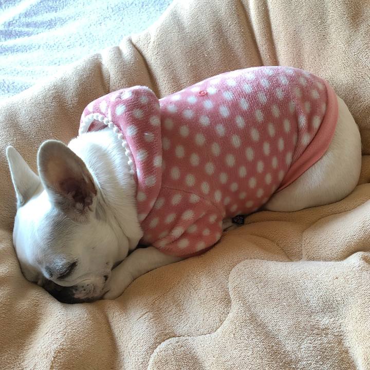 Dee3e54a 3ac0 498a 91ab a5b102447495 1604583956012