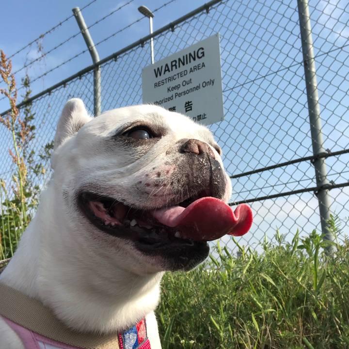 Dee409eb 6827 4f80 9e9e 49a27d9e6803 1556940200845