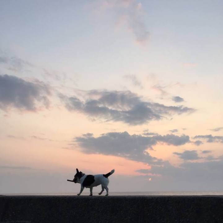 Dee47760 5d43 49dc a797 d783dc6924c0 1755178558460