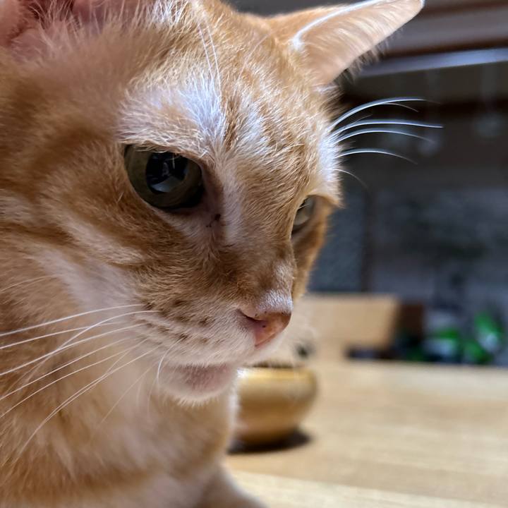 Dee479be 3cd4 4415 8b32 8819c3c361e3 1687436053411