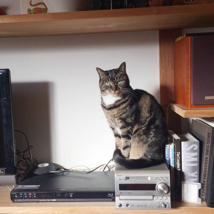 Dee4895a 9d6f 402c b621 408b4a340cad 1547426922679