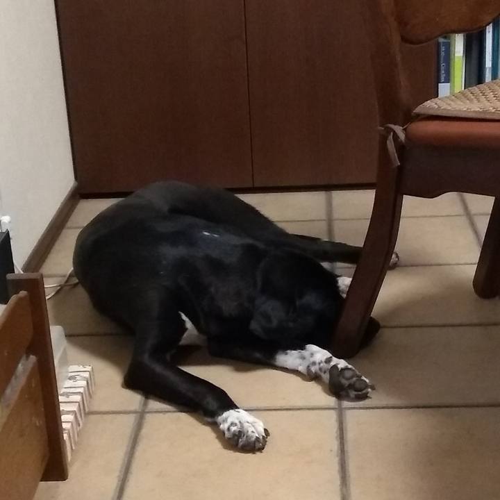 Dee49311 332a 4abb b1a1 fac5444d7d2b 1602587016892