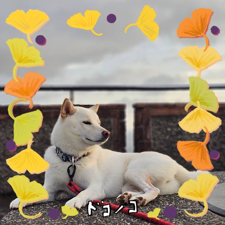 Dee4ad71 fb78 4ecd 93e0 e1bb30f5972d 1729301710812