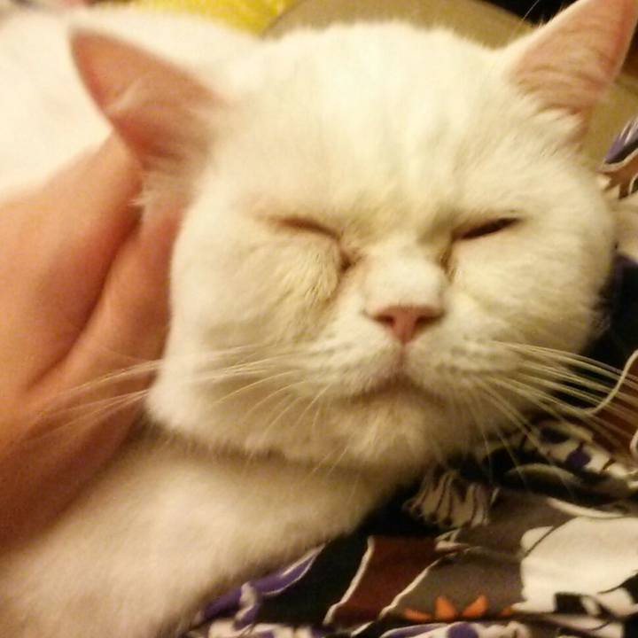 Dee4cdac 8185 4320 92bd b0f9714270d8 1539002308632