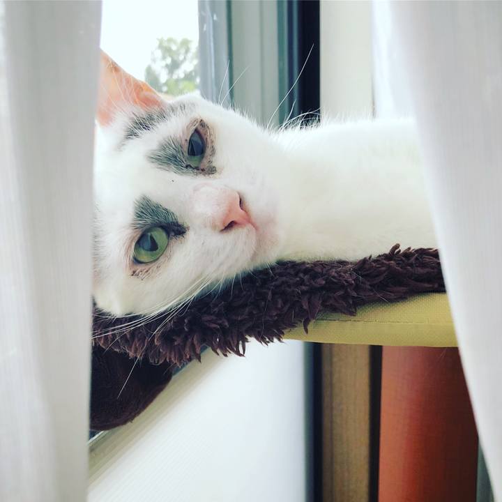 Dee4d9be 8ac3 4e46 84e7 293dc31e37cf 1537570308975