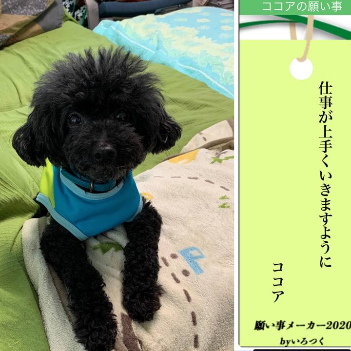 Dee508f1 be7f 48bc bd36 7a08f807c593 1594109720809