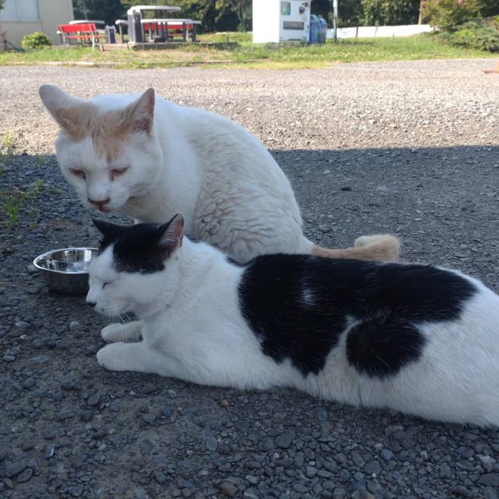 Dee50ccd 33f2 4aec a02c 3005028d05a0 1753400254773