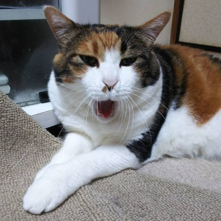 Dee5334f 5462 41b4 9c9b 0c3126d996e7 1535578852725