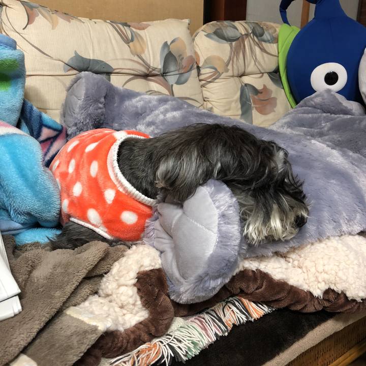 Dee542cc 7d62 4c46 bc9c 66c50cc3cc08 1518952051272