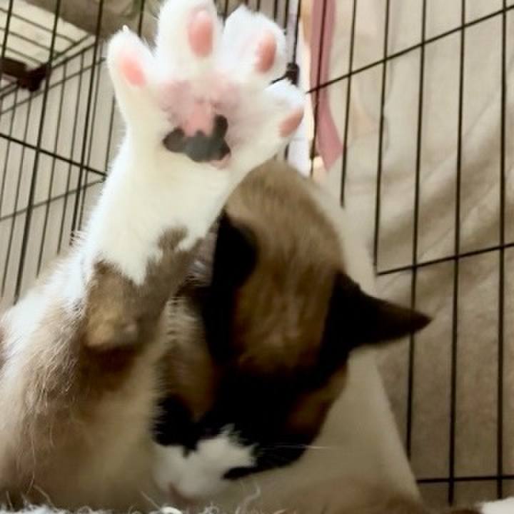 Dee55014 f6b2 4e7a 88d9 f7c3bfb43f47 1748864672643