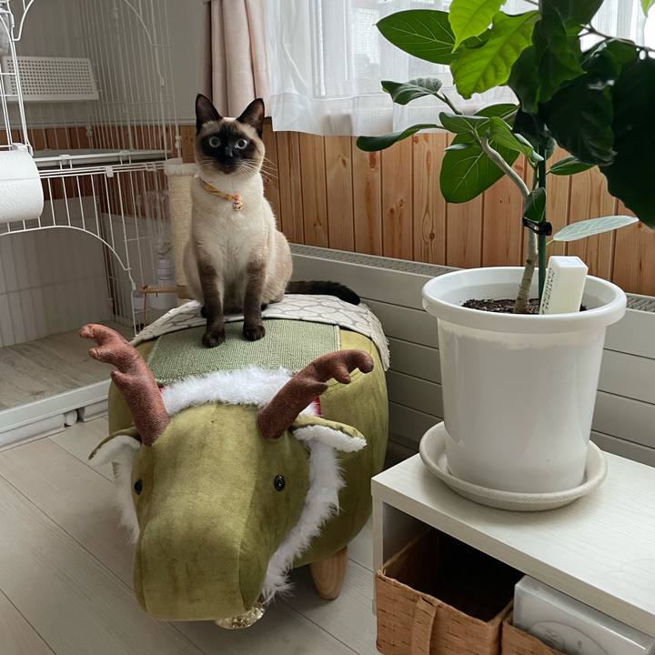 Dee58878 c828 457c 8c10 ef091ef9b25a 1721507510498