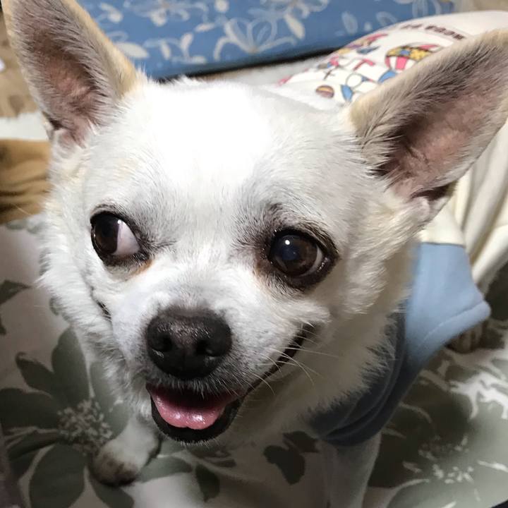 Dee5968d a4a7 4da9 b94e bab243fea6cd 1603455771008