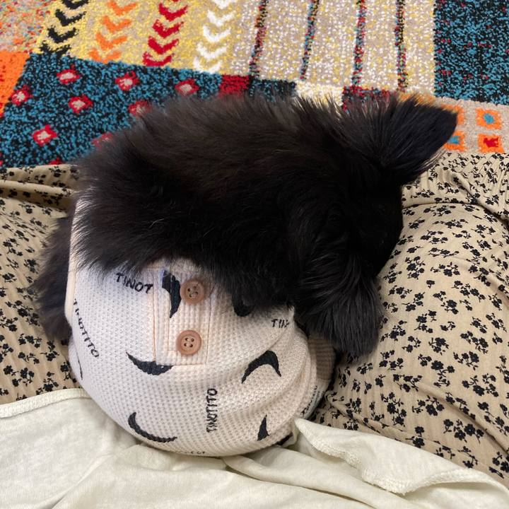 Dee5fe66 2c33 424c b3e6 5874877f452f 1699025982993