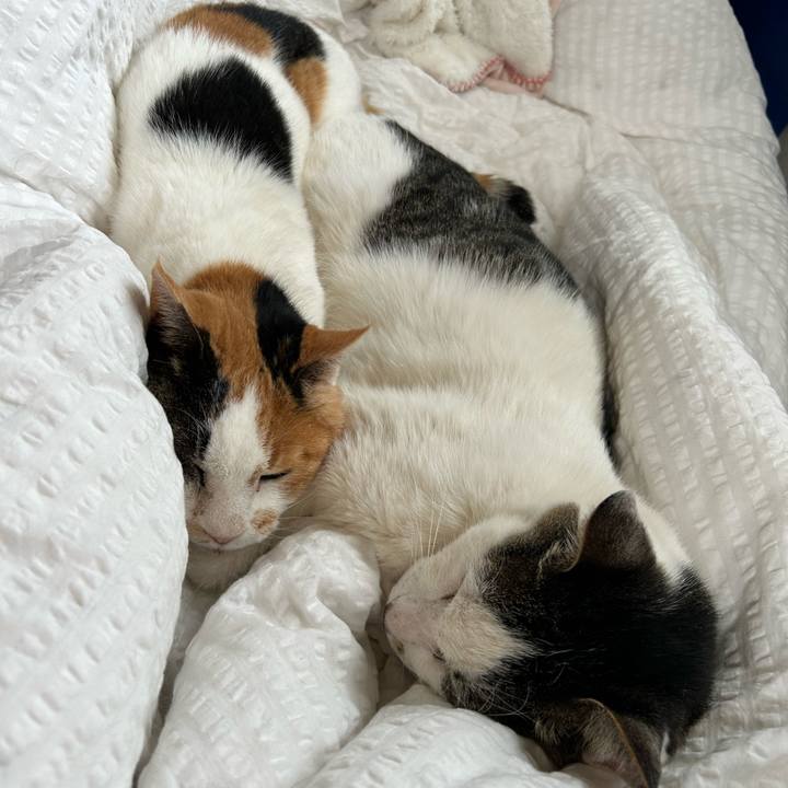 Dee6558d bb15 41ae b299 d615bde5995d 1717576145595