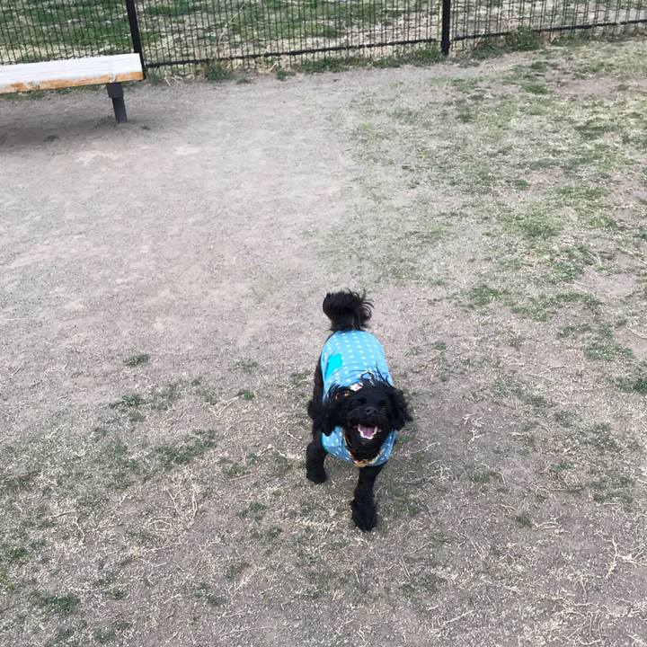 Dee68d4b 9918 4089 9973 eac5803722e9 1522916093358