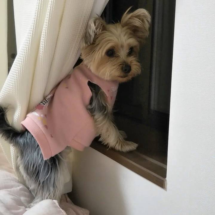 Dee69706 bd29 4356 b842 12e6bfc7c3cb 1584523907047