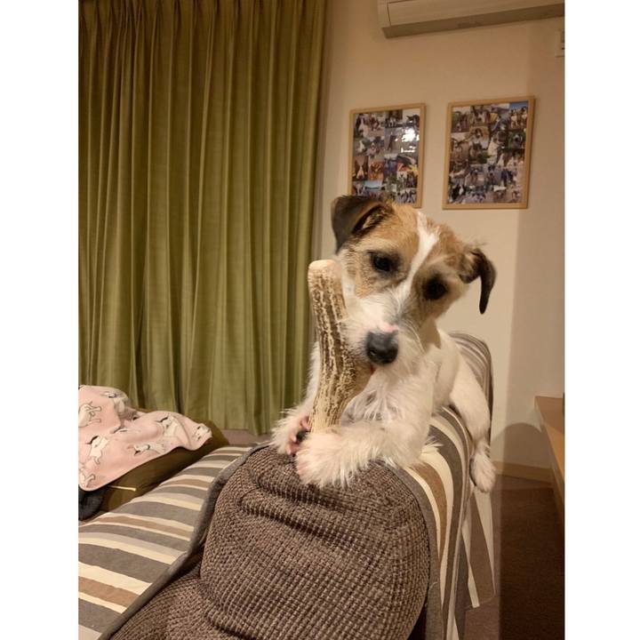 Dee6b538 e1e3 48ac 8c0e 34a4e1f14489 1585746705100