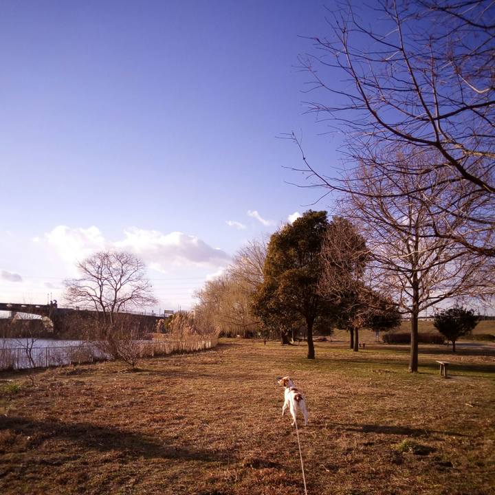 Dee6c2e7 8dba 4589 8f75 84cdb9753d00 1517818911430