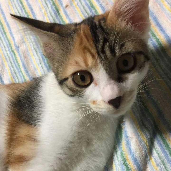 Dee6d094 5e5c 4634 b7d5 486071217ca9 1634558384619