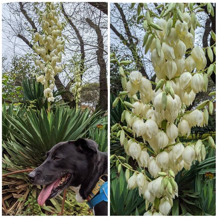 Dee6ddd6 6521 41fe 9c42 df930158ada2 1633825612373