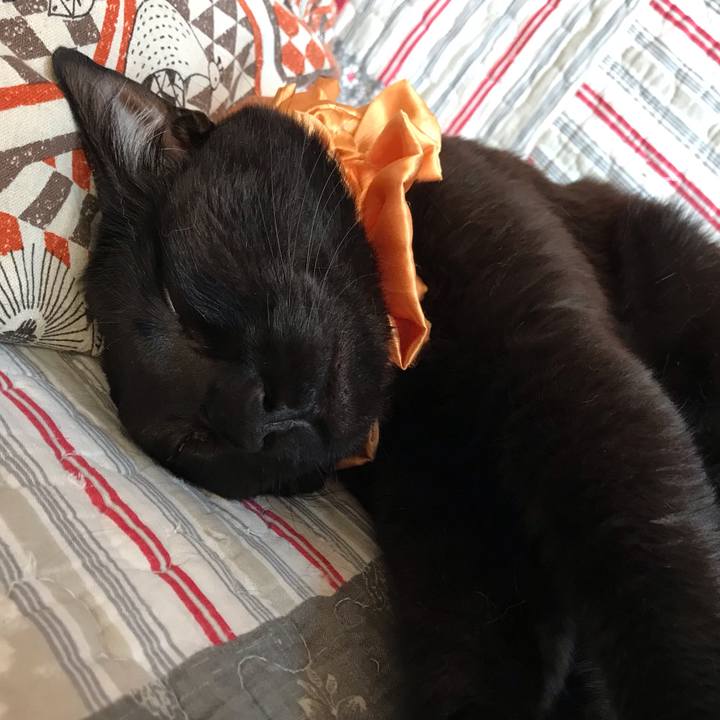 Dee6f122 726b 428f 82db 31c57fb6654f 1626301276544