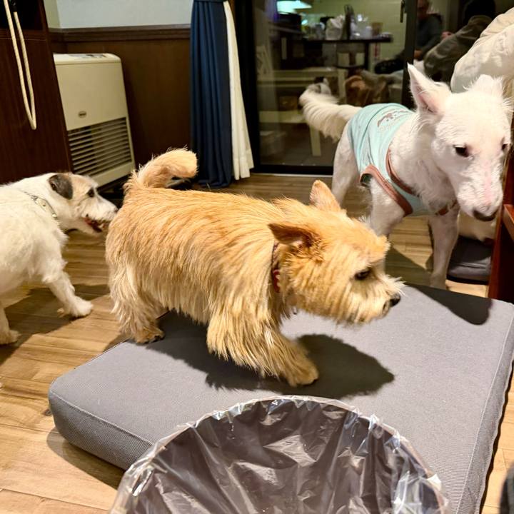 Dee7037b c839 48cd a0f2 40b467040bf4 1761398708910