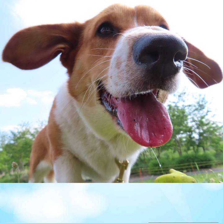 Dee71ede ffdc 4ff8 aef6 15fbeaea5501 1621652626624