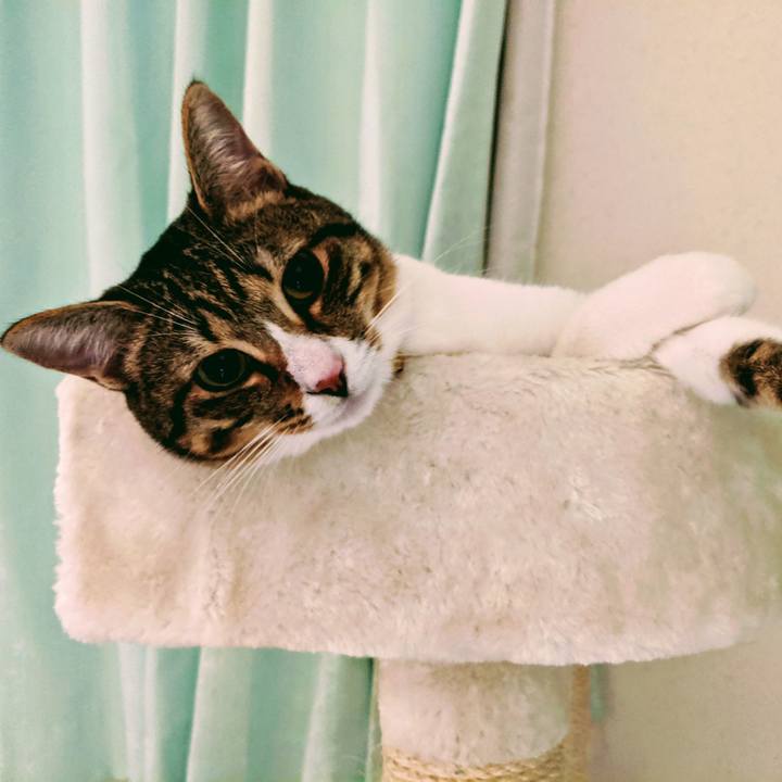 Dee72d72 d59b 473f a1d2 1127a8c93100 1564919964839