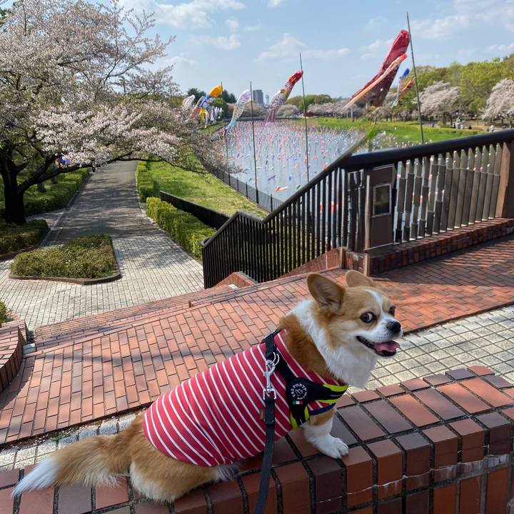 Dee7509a 5869 4b1c 9ce4 ede73bc6c432 1744534508141