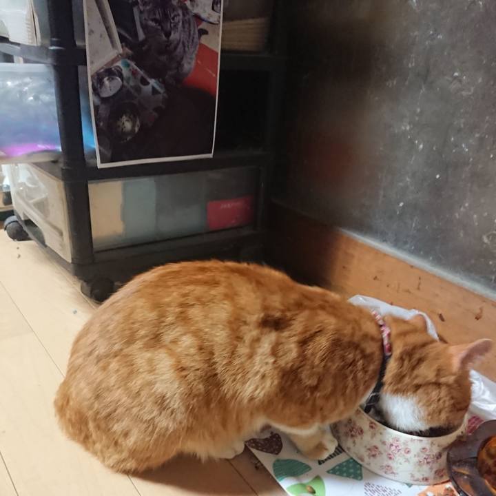 Dee76494 df1d 4852 9a71 1ad724f6013b 1603703295698