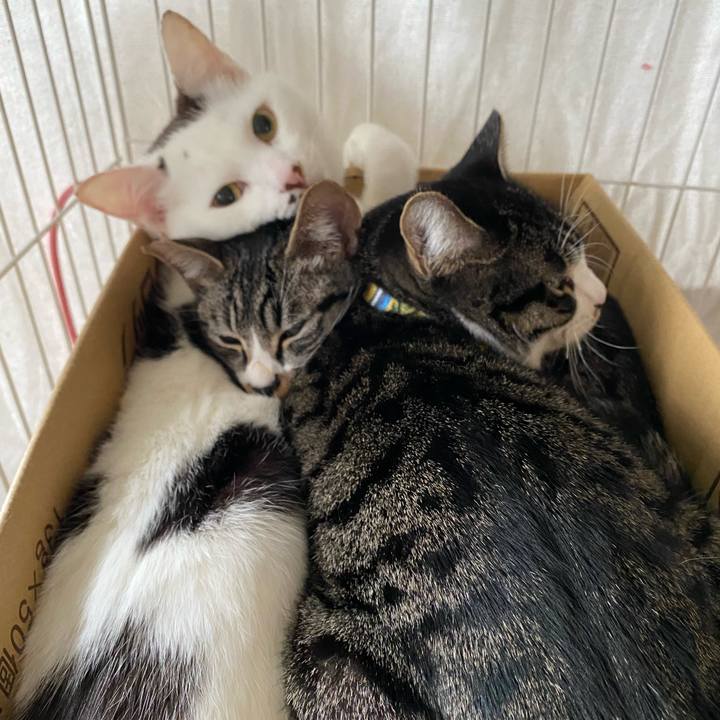 Dee7678e b954 4f7e b419 116da4f4fb83 1705795312508