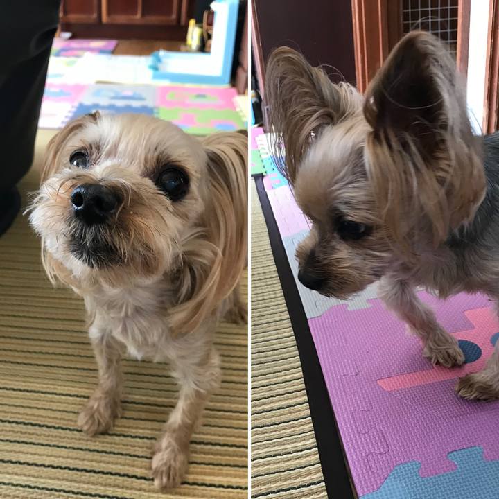 Dee788e6 3186 45d7 81f9 3eb19fb0c113 1626600429918