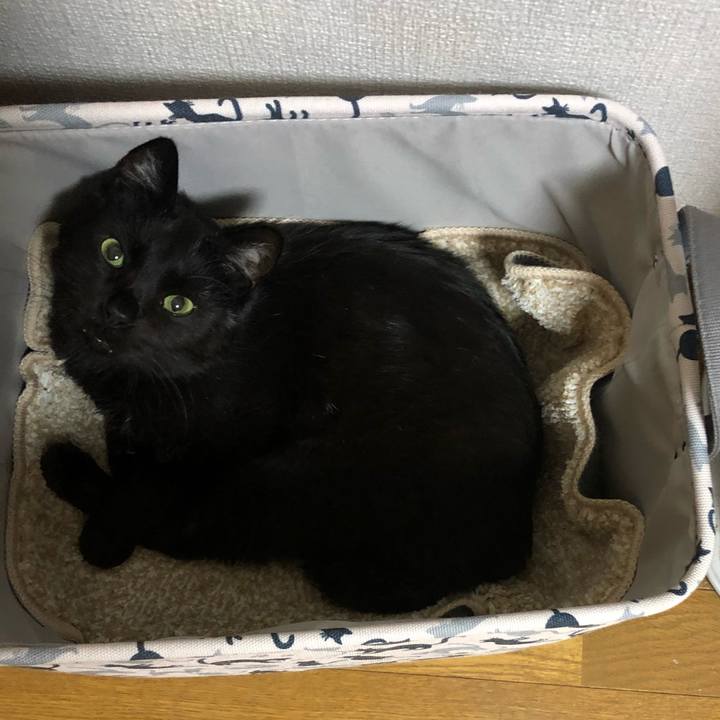 Dee7ba85 5815 4b99 b966 b42708000db5 1591970703145