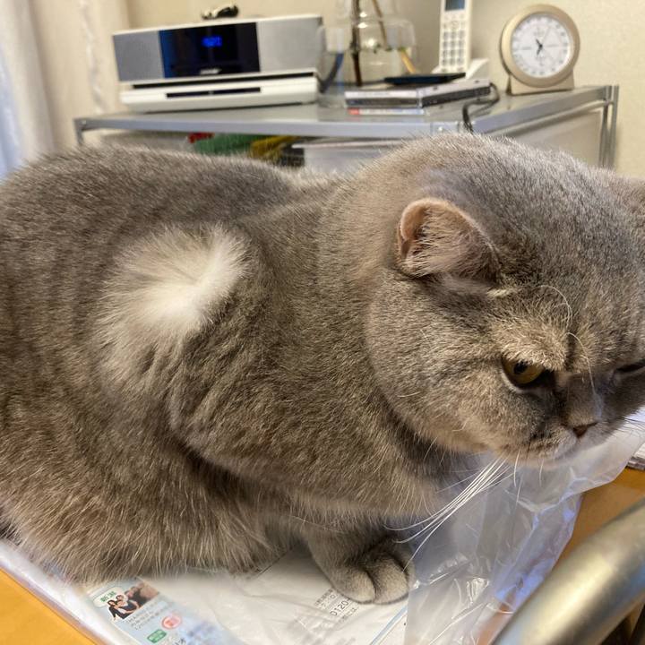 Dee7e3f5 1cd8 44bc 9e97 7237dfd09f6a 1769993795169