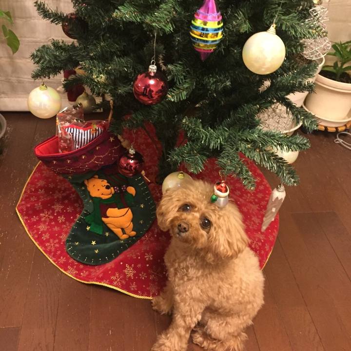 Dee7e855 97ad 4c07 a82b 966b159a68a4 1514032895779