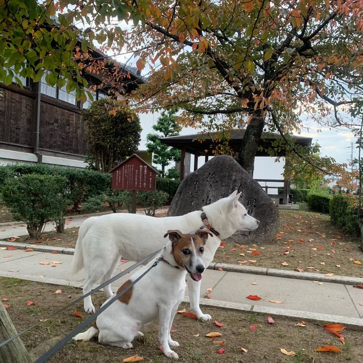 Dee80eb1 42d9 4719 b324 0e9052000b3c 1541323793330