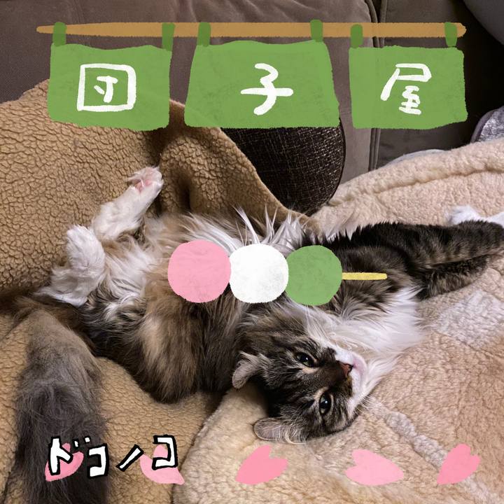 Dee82228 d4e7 403b b189 909946086f13 1712609457188