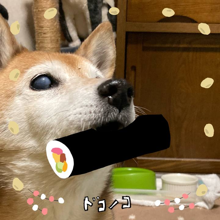 Dee86167 9f33 42cb b75b 0bec7beddf34 1741495571978