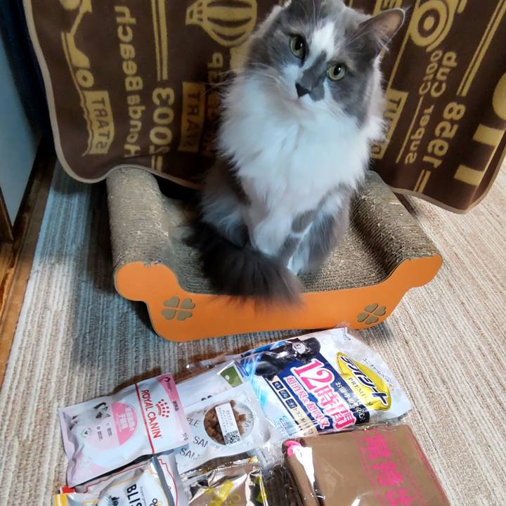 Dee8963e 9c94 48ae 9584 0a5324e4aaf5 1706505348370