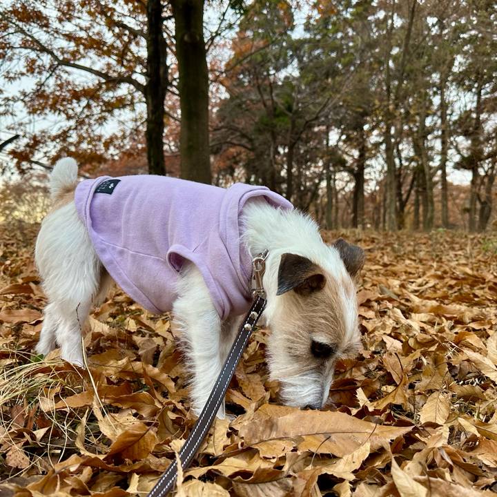 Dee8d26a 7697 41a4 8d09 b2ec5a7fec59 1733904765698